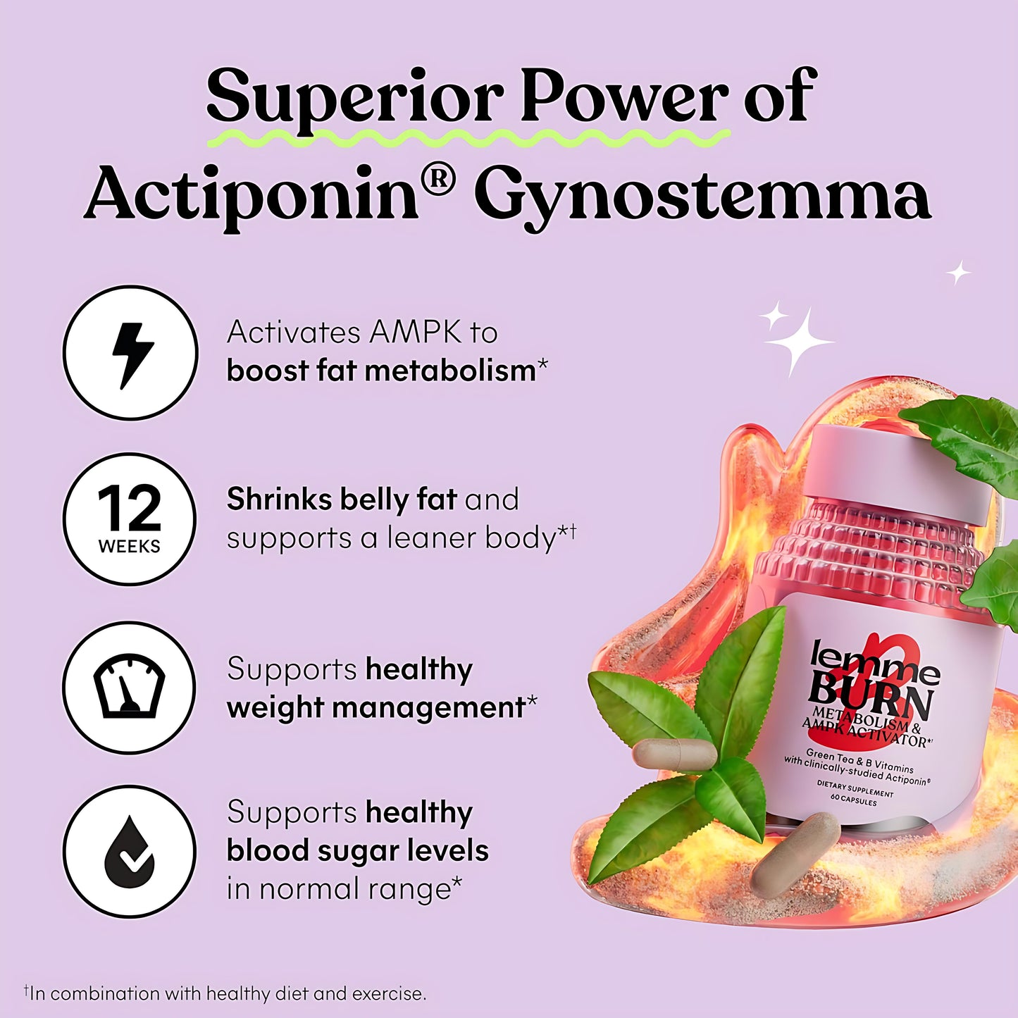 Lemme Burn - Metabolism, Belly Fat Burning + AMPK Activating Supplement for Men & Women w/Clinically Studied Actiponin Gynostemma, Green Tea Extract, Vitamins B6 & B12 - Gluten Free, 60 Count